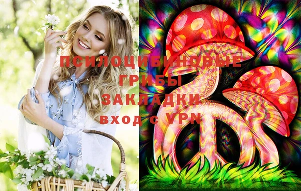 хмурый Алексеевка