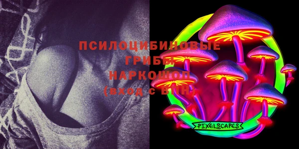 МДПВ Алзамай