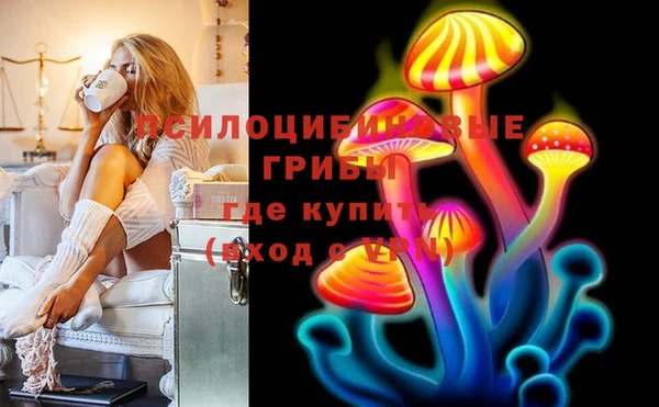 хмурый Алексеевка